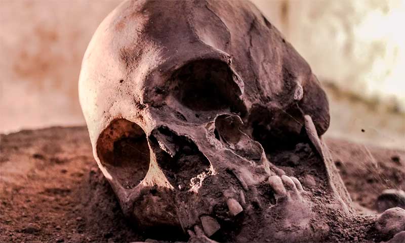 Возле здания ГРЭС нашли человеческий череп