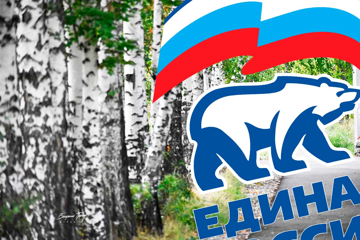 Единая Россия анонсировала вырубку деревьев в городе
