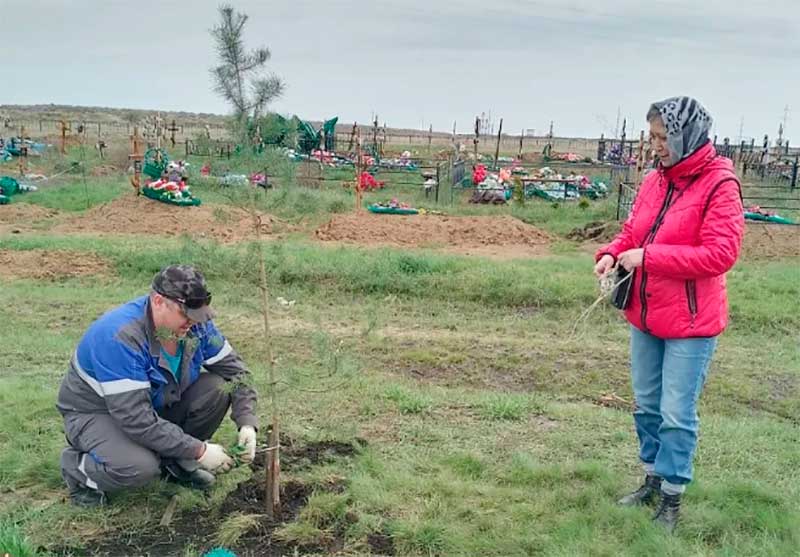 В Троицке на Аллее Славы посадили 20 деревьев