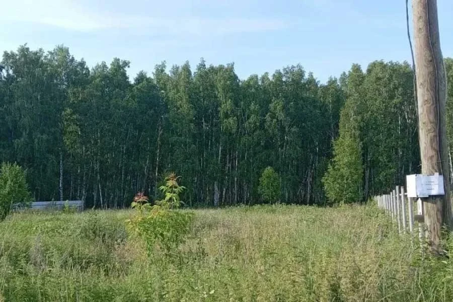 Сбер и его эко-система