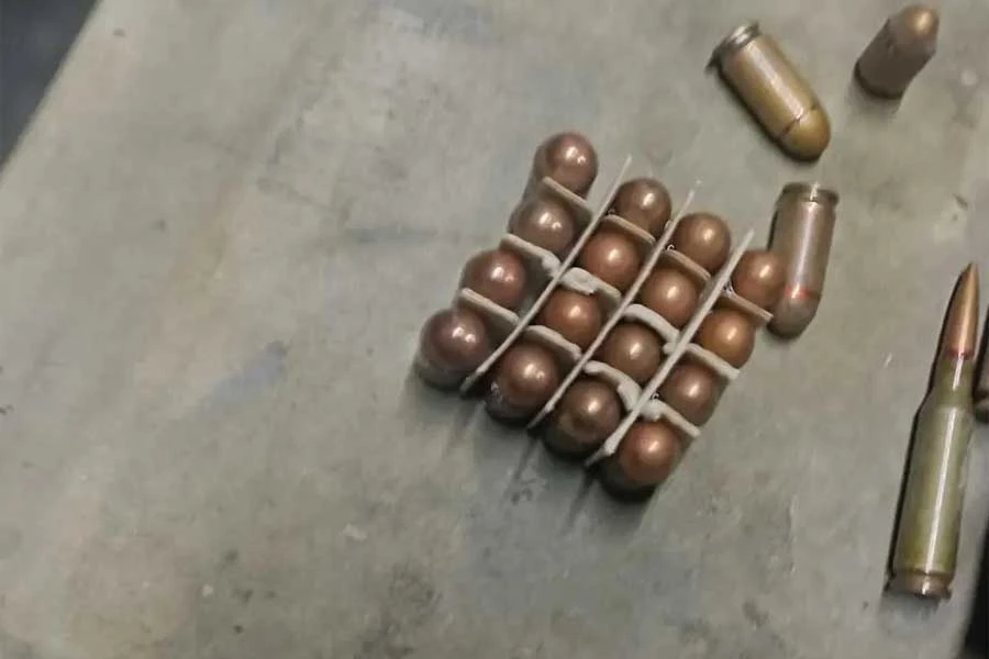 В Троицке полицейские изъяли боеприпасы